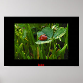 Póster Un Día Afortunado Para Los Patrones