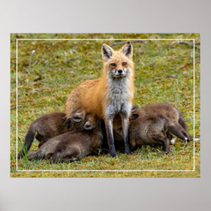 Póster Un día de mamá