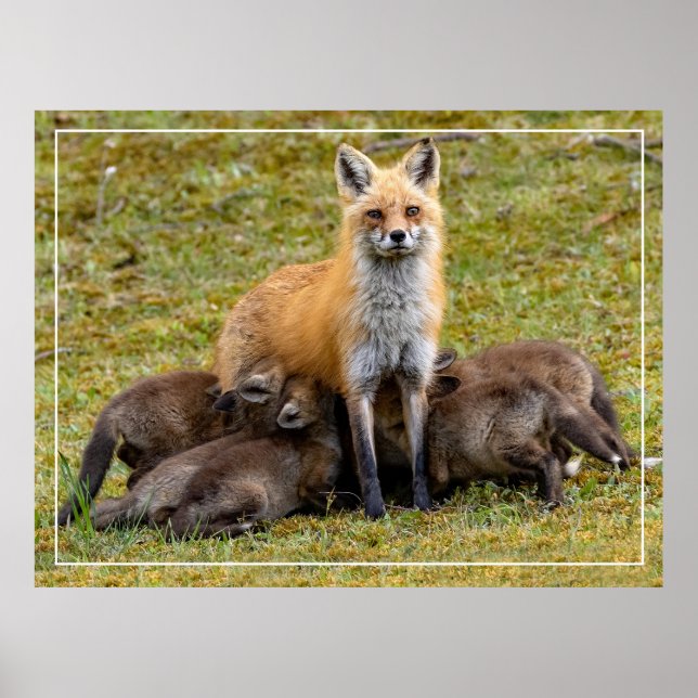 Póster Un día de mamá (Frente)