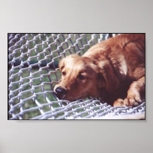 Póster Un día de oro