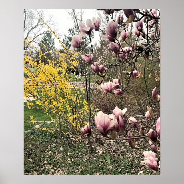 Póster Un día en el parque (Frente)