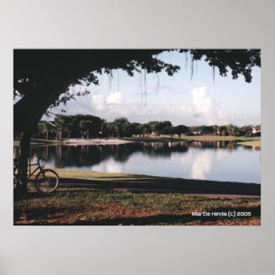 Póster Un día en el parque