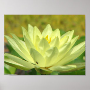 Póster Un día en la serie de estanques