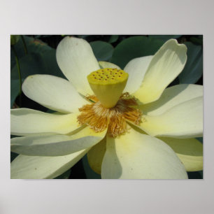 Póster Un día en la serie de la charca