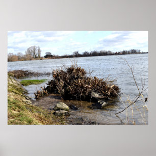 Póster Un día soleado en el río