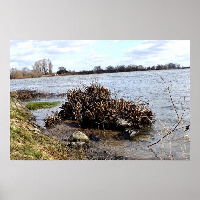 Póster Un día soleado en el río (Frente)
