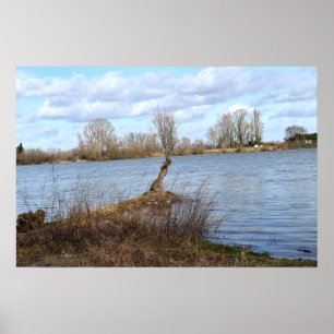 Póster Un día soleado en el río