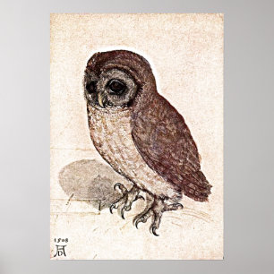 Póster Un dibujo de 500 años