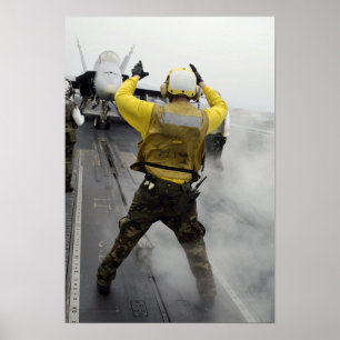 Póster Un director de los aviones señala un avispón de