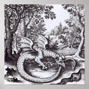 Póster Un dragón en el bosque