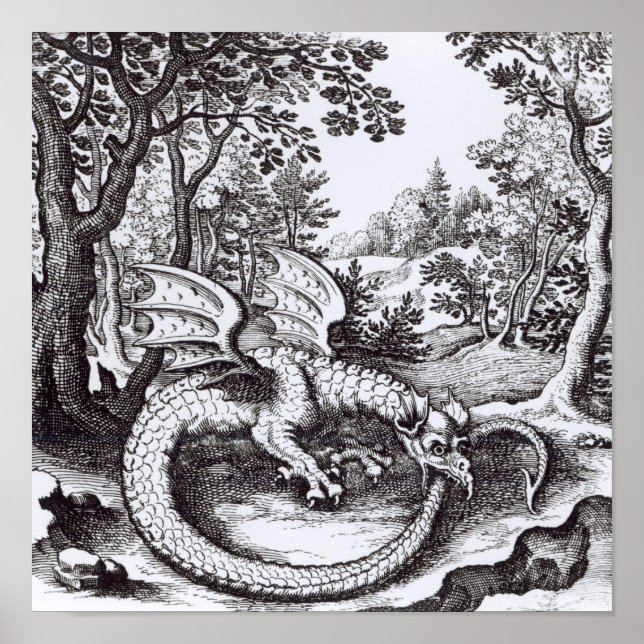 Póster Un dragón en la selva (Frente)