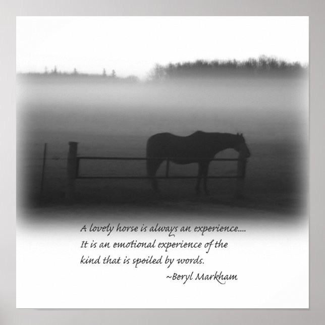 Póster Un encantador Poster de caballos (Frente)