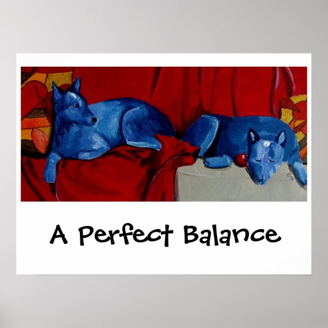 Póster Un equilibrio perfecto (Frente)