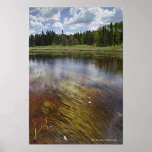 Póster Un Estanque Todavía Refleja Las Nubes