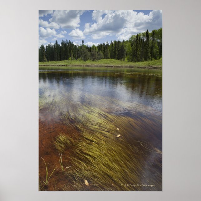 Póster Un Estanque Todavía Refleja Las Nubes (Frente)