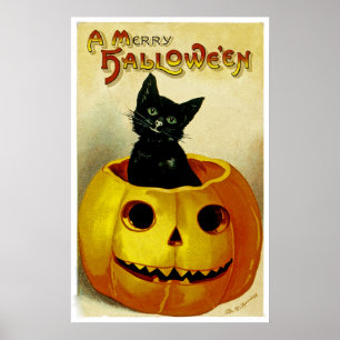 Póster Un feliz gatito de Halloween