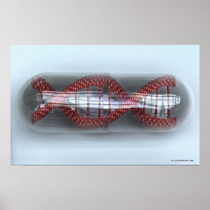 Póster Un filamento de la DNA en una cápsula