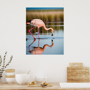 Póster Un flamenco rosa viendo su reflejo en el agua