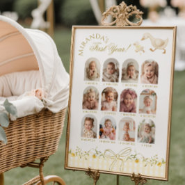 Póster Un ganso tonto cumple 1 año hito fotográfico