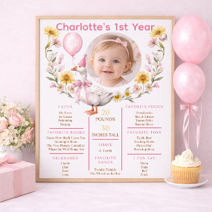 Póster Un ganso tonto cumple su primer año, foto de hito