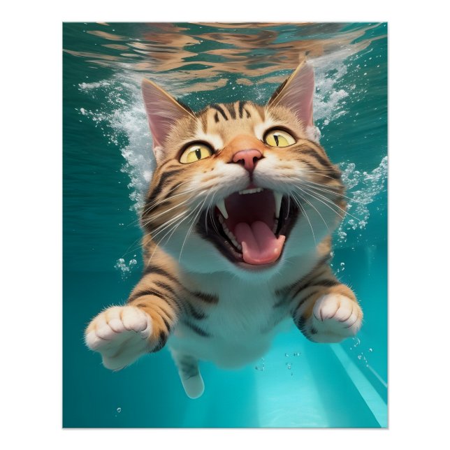 Póster Un gato dulce nadando bajo el agua en una piscina  (Anverso)