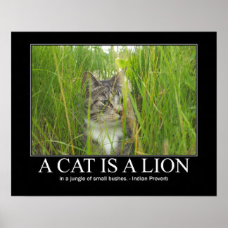 Póster Un gato es una obra de un proverbio indio león