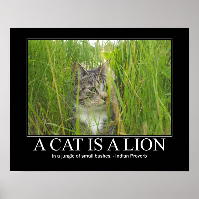 Póster Un gato es una obra de un proverbio indio león (Frente)