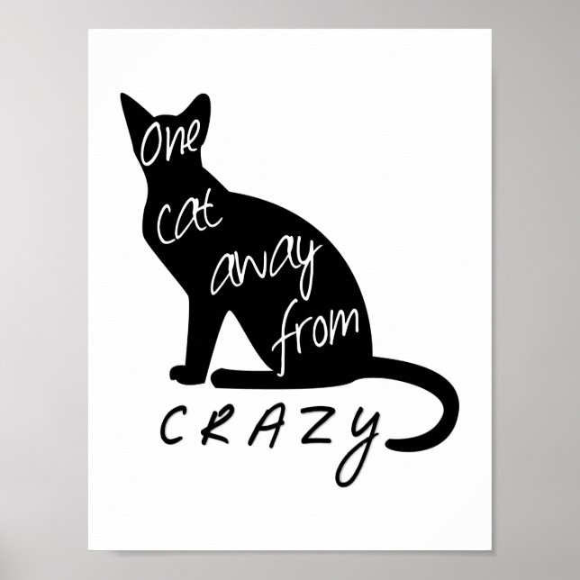 Póster Un gato lejos de CRAZY (Frente)