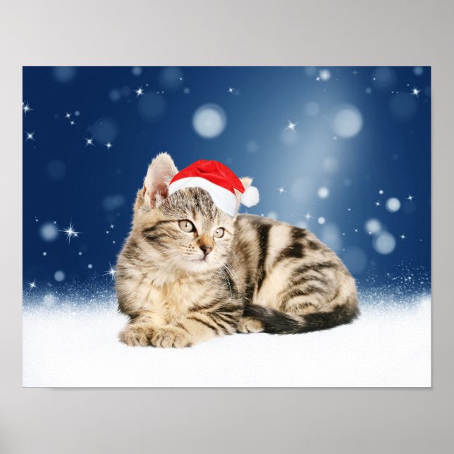 Póster Un gato lindo vestido con Navidades de sombrero ro (Frente)