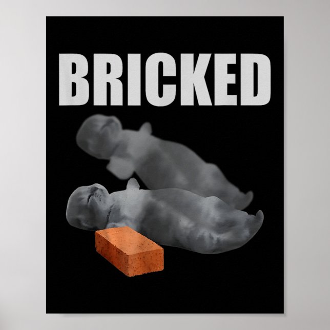 Póster Un gato malcriado es gracioso y derribó a Meme Sil (Frente)