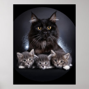 Póster Un Gato Negro Grande Y Sus 3 Gatitos Pose Para Nos