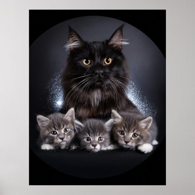 Póster Un Gato Negro Grande Y Sus 3 Gatitos Pose Para Nos (Frente)