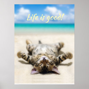 Póster Un gato tomando el sol en la playa