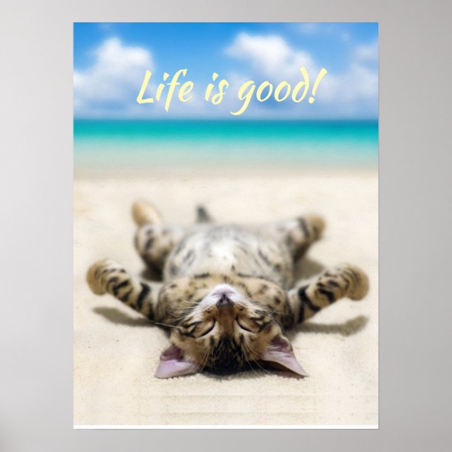 Póster Un gato tomando el sol en la playa (Frente)