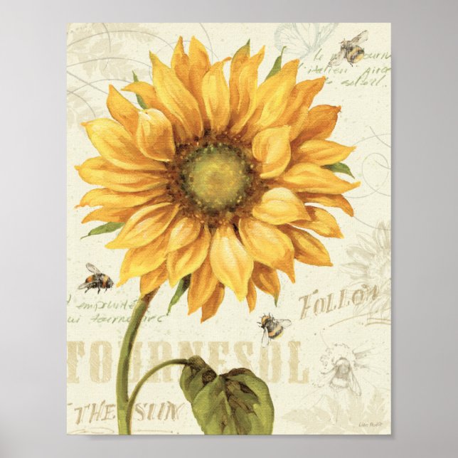 Póster Un girasol amarillo (Frente)