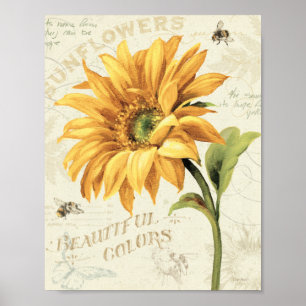 Póster Un girasol en la plena floración