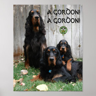 Póster ¡UN GORDÓN! ¡UN GORDÓN! Poster Gordon Setter