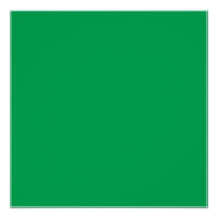 Un helecho verde y exuberante con un delicado y in