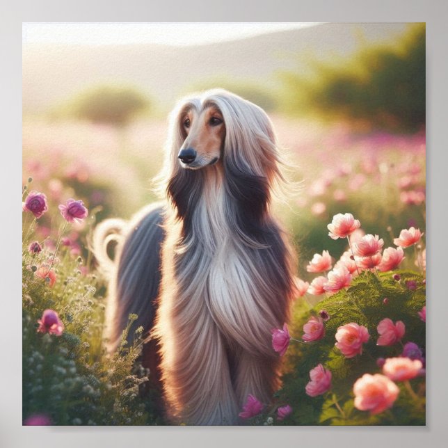 Póster Un hermoso helito afgano (Frente)