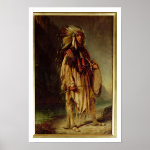 Póster Un indio norteamericano en un paisaje extenso,