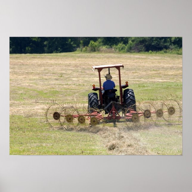 Póster Un joven muchacho conduciendo un tractor cosechand (Frente)