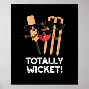 Póster Un juego de cricket muy divertido