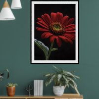 Un Lado Izquierdo Rojo En Negro,