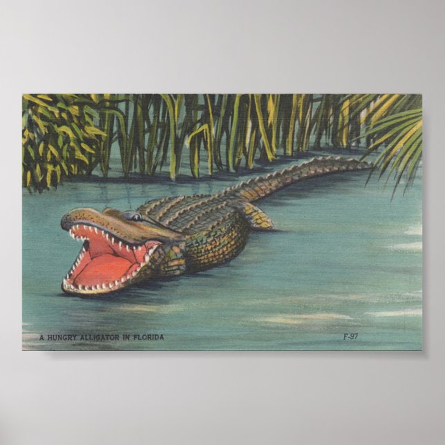Póster Un lagarto hambriento en Florida (Frente)