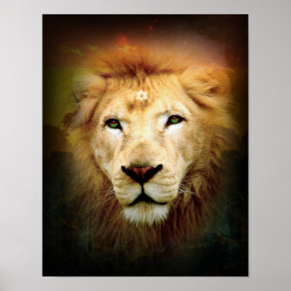 Póster Un león de amor - Poster / Imprimir