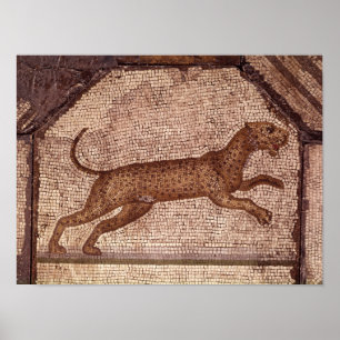 Póster Un leopardo