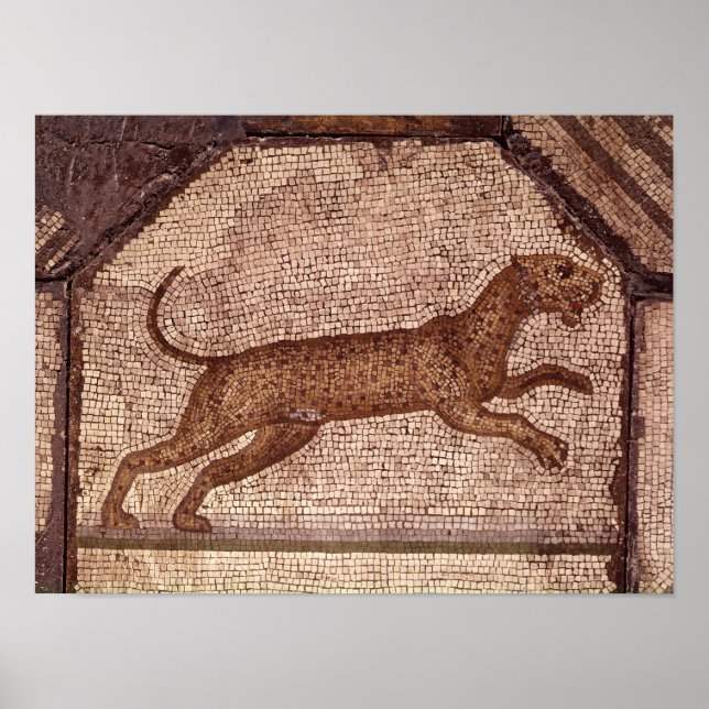 Póster Un leopardo (Frente)