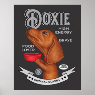 Póster Un lindo Dachshund mendigando comida