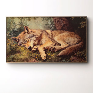 Póster Un lobo durmiendo en el bosque