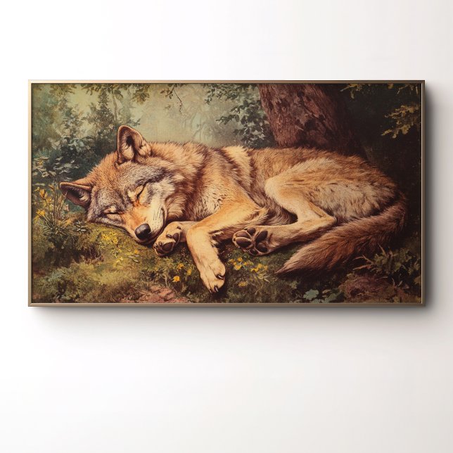 Póster Un Lobo Durmiendo En El Bosque (Subido por el creador)